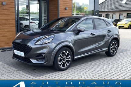 Ford Puma Gebrauchtwagen