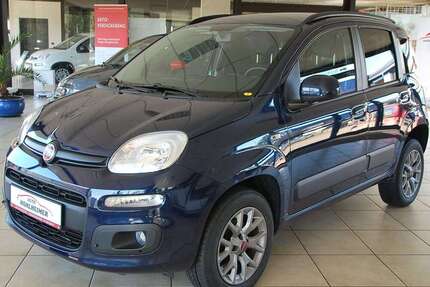 Fiat Panda Gebrauchtwagen