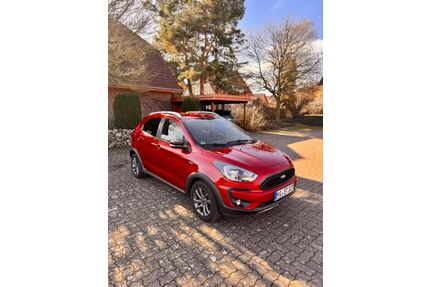 Ford Ka/Ka+ Gebrauchtwagen