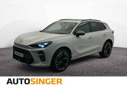 Cupra Terramar Gebrauchtwagen