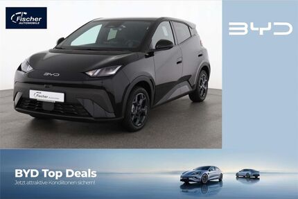 BYD DOLPHIN Gebrauchtwagen