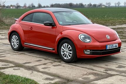 VW Beetle Gebrauchtwagen