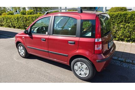 Fiat Panda Gebrauchtwagen