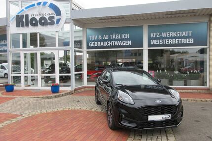 Ford Puma Gebrauchtwagen