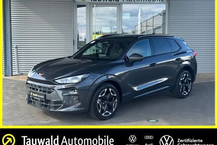 Cupra Terramar Gebrauchtwagen