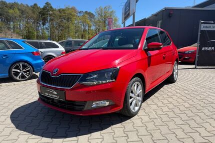 Skoda Fabia Gebrauchtwagen