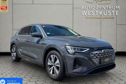 Audi Q8 e-tron Gebrauchtwagen