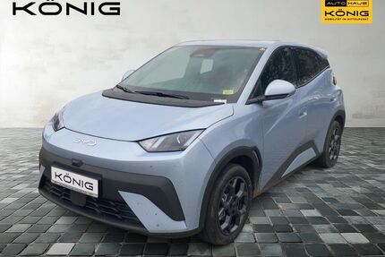 BYD DOLPHIN Gebrauchtwagen