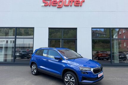 Skoda Karoq Gebrauchtwagen