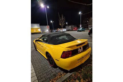 Ford Mustang Gebrauchtwagen
