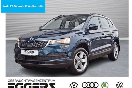 Skoda Karoq Gebrauchtwagen