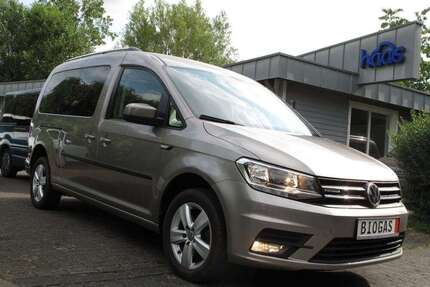 VW Sonstige Caddy Maxi BMT 1.4 TGI CNG KAM ACC MFL AL Gebrauchtwagen