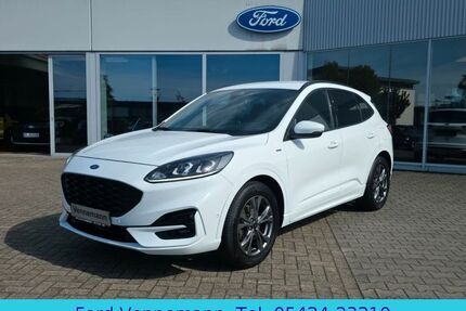 Ford Kuga Gebrauchtwagen