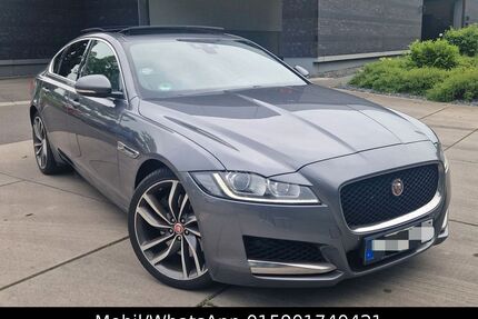 Jaguar XF Gebrauchtwagen