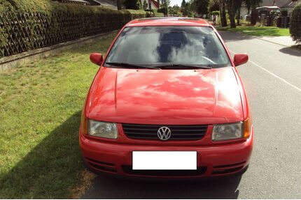 VW Polo Gebrauchtwagen