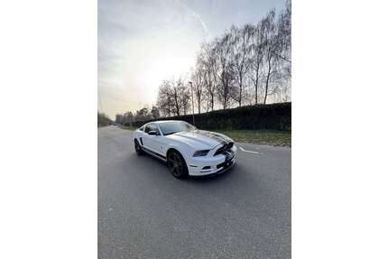 Ford Mustang Gebrauchtwagen