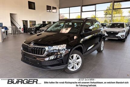 Skoda Karoq Gebrauchtwagen