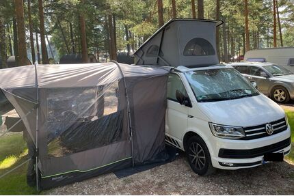 VW T6 California Gebrauchtwagen