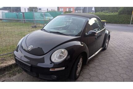 VW Beetle Gebrauchtwagen