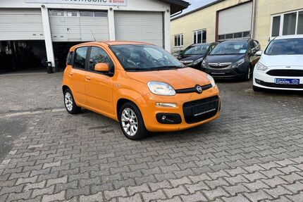 Fiat Panda Gebrauchtwagen