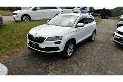 Skoda Karoq Gebrauchtwagen