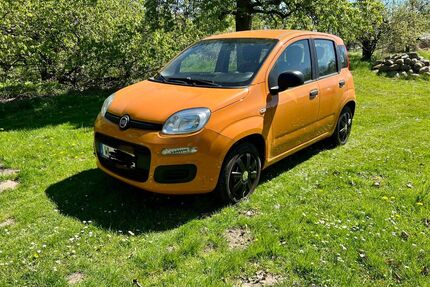 Fiat New Panda Gebrauchtwagen