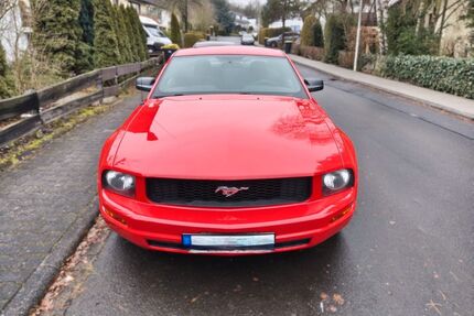 Ford Mustang Gebrauchtwagen