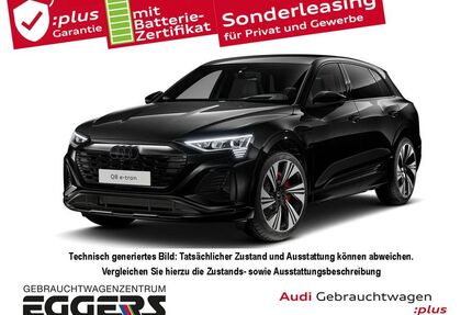 Audi Q8 e-tron Gebrauchtwagen