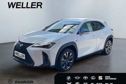 Lexus UX Gebrauchtwagen