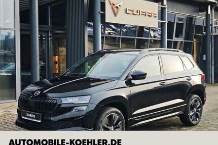 Skoda Karoq Gebrauchtwagen
