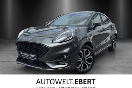 Ford Puma Gebrauchtwagen
