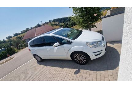 Ford S-Max Gebrauchtwagen