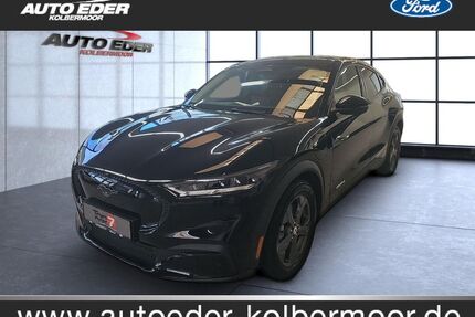 Ford Mustang Mach-E Gebrauchtwagen