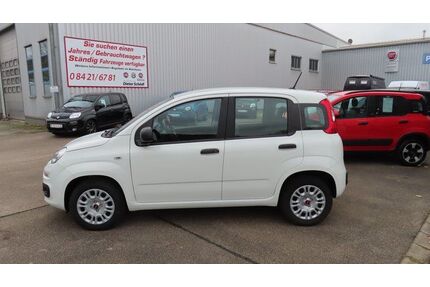 Fiat Panda Gebrauchtwagen