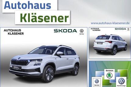 Skoda Karoq Gebrauchtwagen