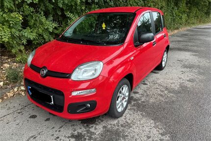 Fiat Panda Gebrauchtwagen