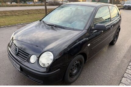 VW Polo Gebrauchtwagen