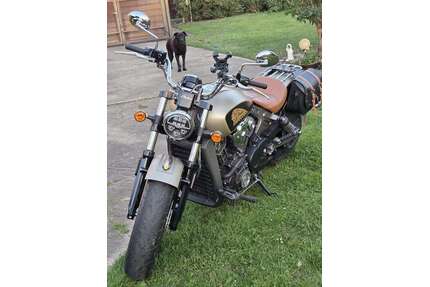 INDIAN Scout Gebrauchtwagen