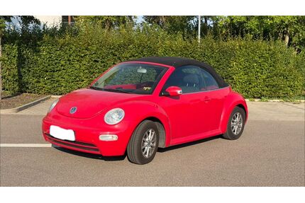 VW Beetle Gebrauchtwagen