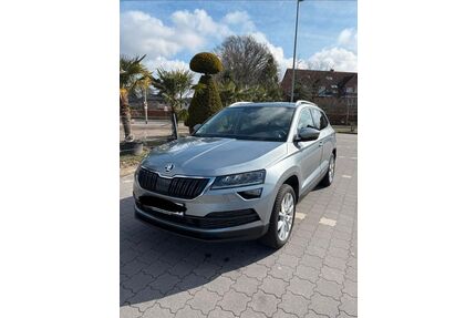 Skoda Karoq Gebrauchtwagen