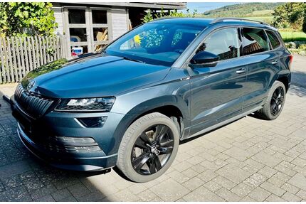 Skoda Karoq Gebrauchtwagen