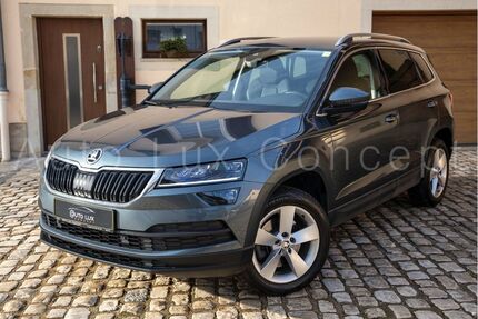 Skoda Karoq Gebrauchtwagen