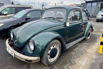 VW Käfer Gebrauchtwagen