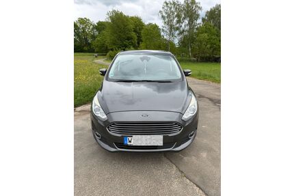 Ford S-Max Gebrauchtwagen