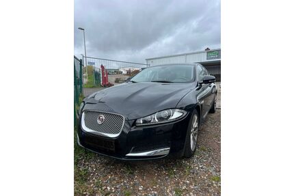 Jaguar XF Gebrauchtwagen