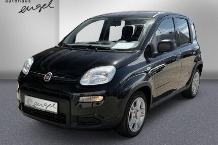 Fiat Panda Gebrauchtwagen