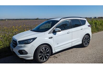 Ford Kuga Gebrauchtwagen