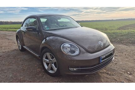 VW Beetle Gebrauchtwagen