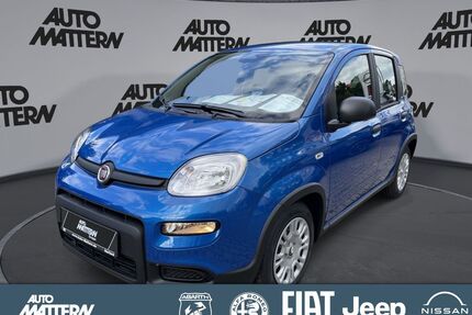 Fiat Panda Gebrauchtwagen