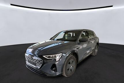 Audi Q8 e-tron Gebrauchtwagen